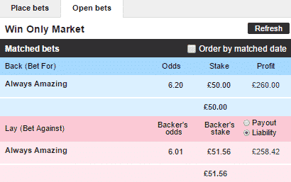 Betfair Trading - Hedge Betslip