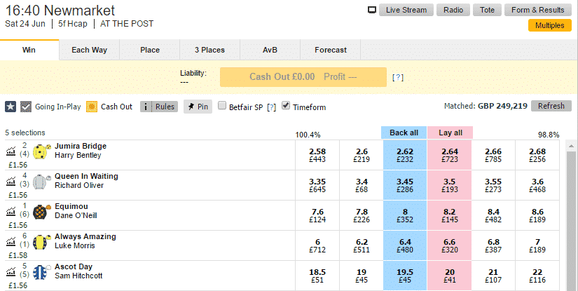 Betfair Trading - Hedge Market