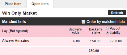 Betfair Trading - Opener Betslip